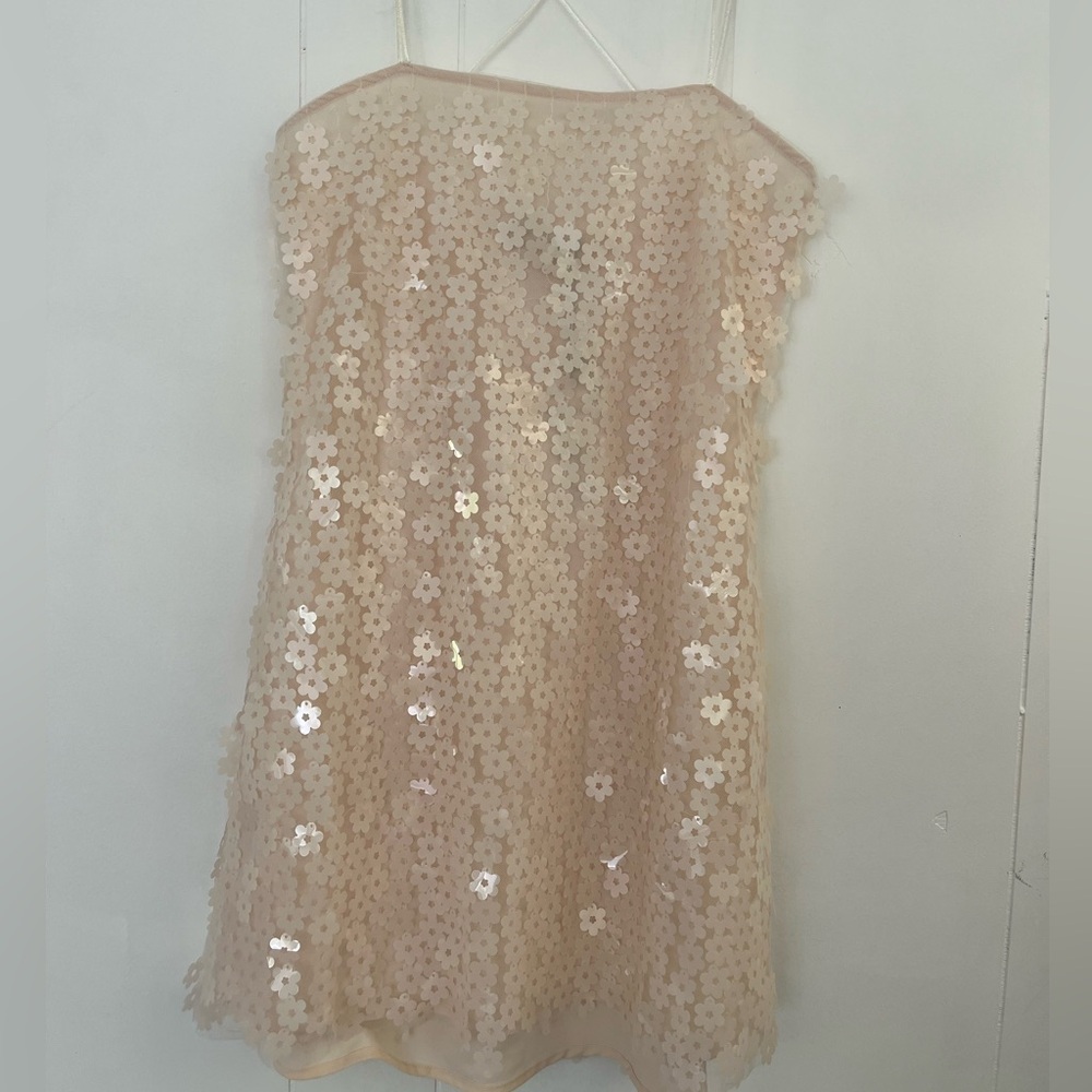Zara Pale Blush Sequin Mini Dress